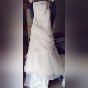 Da Vinci wedding dress